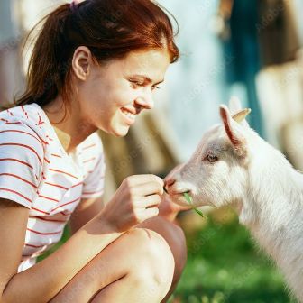 Farming_Animal welfare